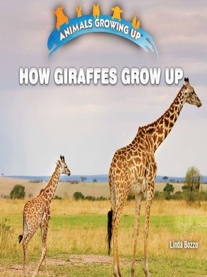 cover image of How Giraffes Grow Up